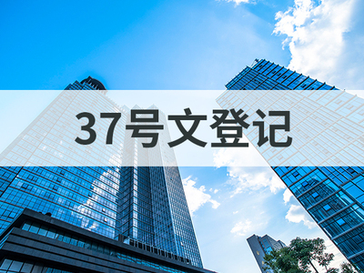 37号文登记